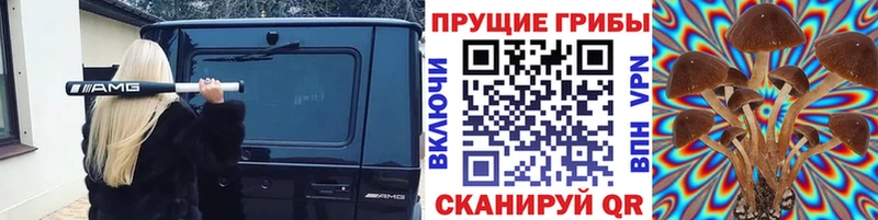 Купить где  Ковылкино  Псилоцибиновые грибы прущие грибы 